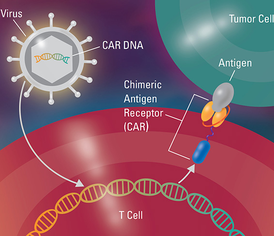 ��֢�����Ʒ�