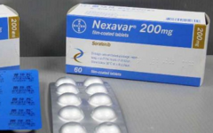 �ձ���׼�༪��(SORAFENAT)���ڼ�״�ٰ�