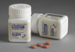 �༪����SORAFENIB����ҩ֮��������ѡ��