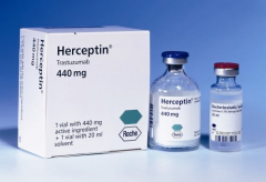 �����鵥��(Herceptin)Ϊ��ʮ�ڻ��ߴ����洦