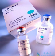 �����鵥��(Herceptin)��HER2�������ٰ���Ч��