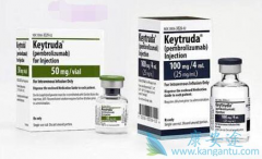��Ȭ��(pembrolizumab)���ڹ��������������