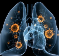 Ů�Էΰ�������֢״��ʲô�ص�