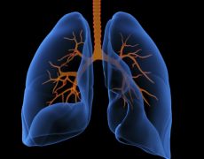 �ΰ����ڷ�չ���ΰ���ת����ȻҪ��������