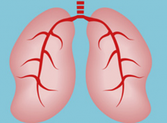 ���ڷ�Сϸ���ΰ�������ת�Ƶĸ��ʽϸ�