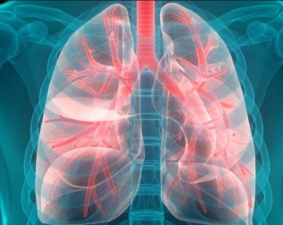 �ΰ���ת��