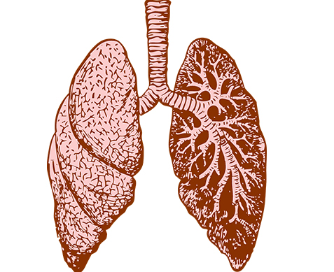 �ΰ�����