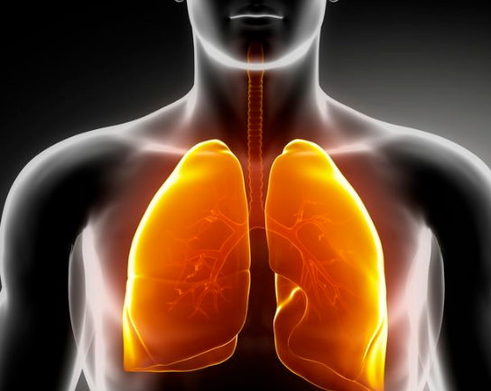 �ΰ����ڳ�ʲô��