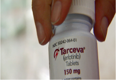 ����ѡ������ɳ�����޿�(ERLOTINIB)�ķ���