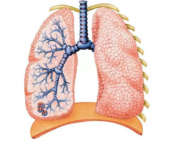 �ΰ����˳�ʲô��