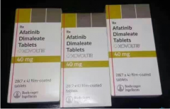 ��������(AFATINIB)��EGFR���������������