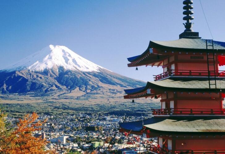 ҽ������