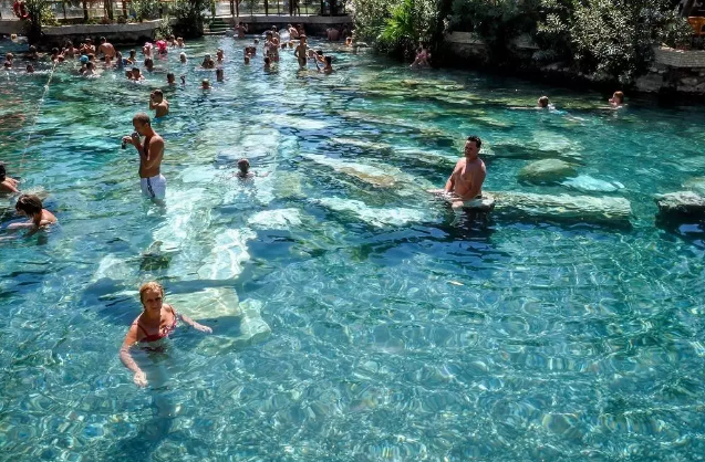 ҽ������