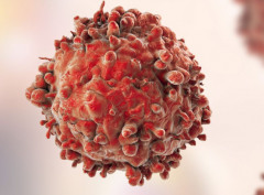 �ճ���˵�Ķ��������ǰ�֢��