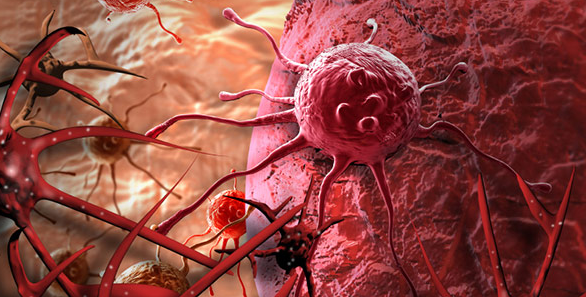 ��֢������֢״