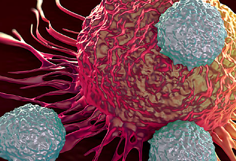 ��֢���κ���