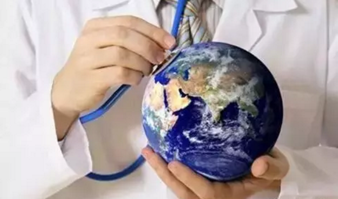 ҽ������