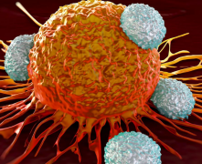 �����г����İ�֢��Ⱦ��