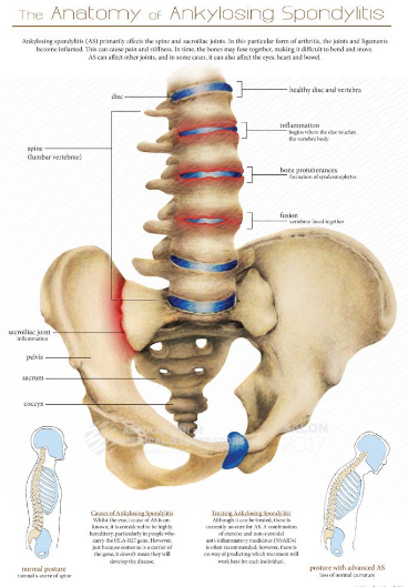 �����İ�֢