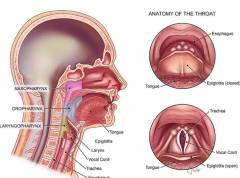 ����˻����������������ʺ���֢״