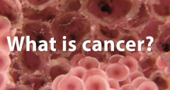 ��֢������ָ������ס�İ�֢������ԭ�������ϳ���