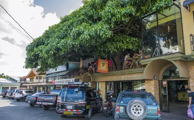 ҽ������