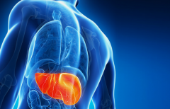 ����;�����ҽ���ʲô�Ǳ���