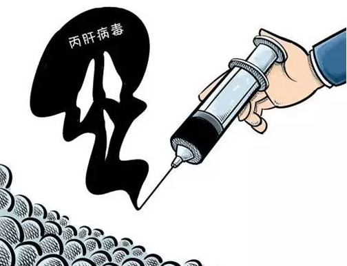 ���ο���������