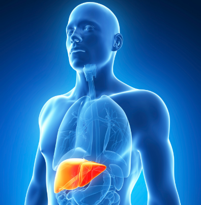 ������ʲô��