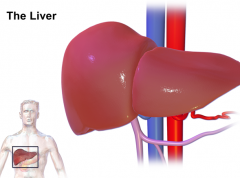 ӡ�ȼ��������Ʊ����ܳ����κ���