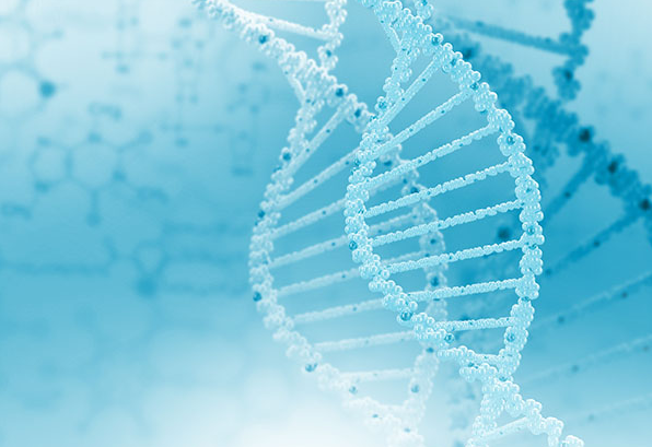 ���ο�������