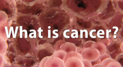 ����ͻȻ�½������ױ����Եİ�֢��֢״