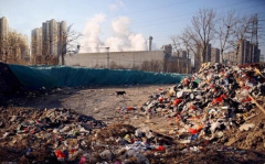 �й���֢��������Լ�н�������