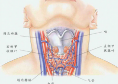 �ֻ��ͼ�״�ٰ�֢����ʹ�õ�131����ע������