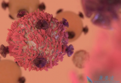 �ſ��ϵ�CAR-T�Ʒ����ܰ�����������������