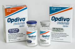 ���PD-1���Ƽ�����Ч�������������Ĺؼ�