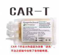CAR-T�Ʒ���δ�����ܽ�����ʵ��������