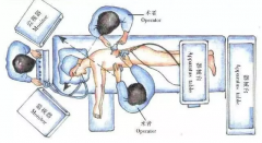 һ�����˽�Сϸ���ΰ����Сϸ���ΰ�����