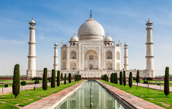 ҽ������