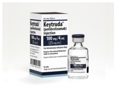 PD-1�Ʒ��������������еķΰ�����