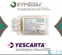 CAR-Tϸ�����Ʋ�Ʒ�봫ͳ����ҩ������������