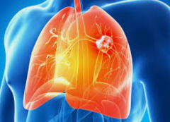 Сϸ���ΰ����������Ʒ�����Ȼ��������Ϊ��