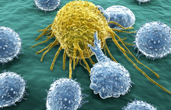 ��֢Ϊʲô�β���