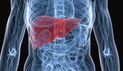 ���εĴ�Ⱦ��ʽ�ͱ��ε�Σ������