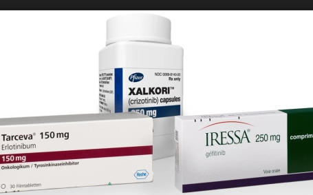 �ΰ���������