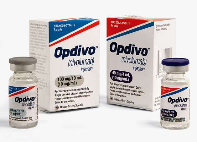 �ΰ���������