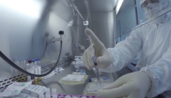 ͨ����CAR-T�������������ųⷴӦ