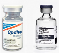 �ϸ��FDA�Ѿ���׼PD-1���Ƽ�������ʮ�ְ�֢����