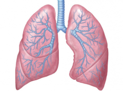 ���·�Сϸ���ΰ�ҩ��Lorlatinib��ͻ����ҩ���϶�