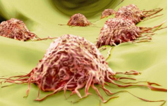 ������֢Э��԰�֢�ᴫȾ����������